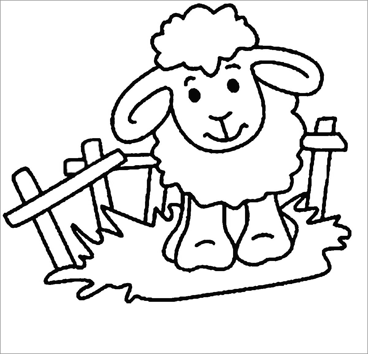 Sheep Coloring Page for Preschoolers   ColoringBay