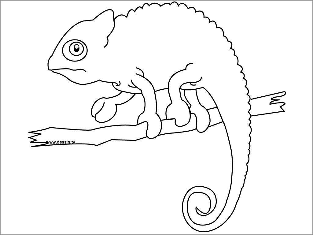 Simple Chameleon Coloring Page