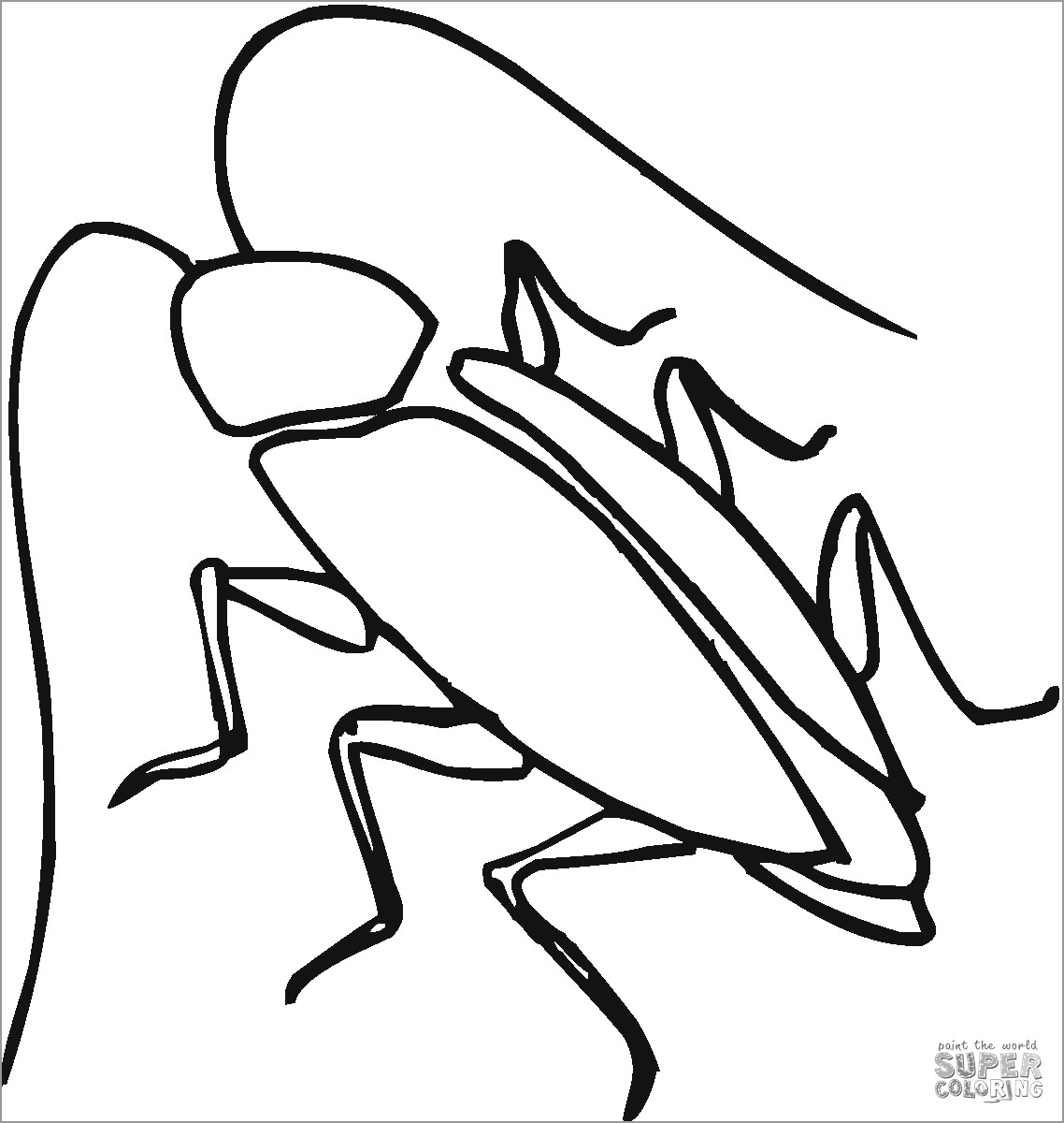 Simple Cockroach Coloring Page