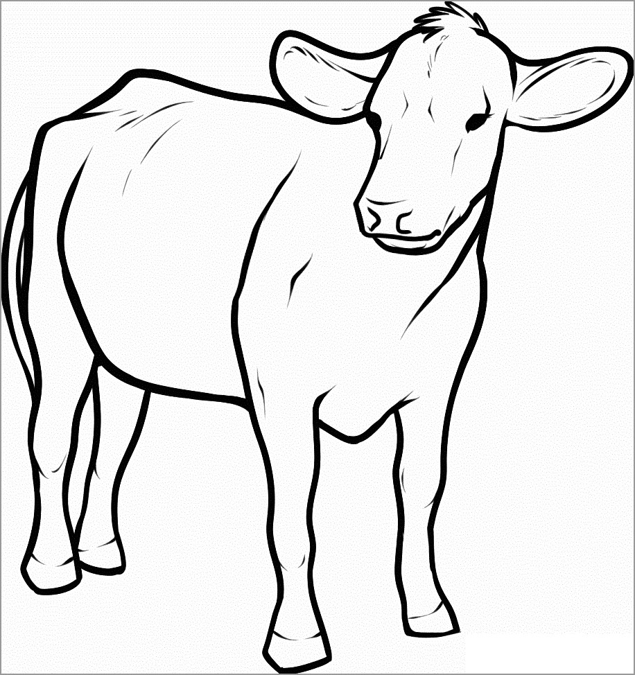 Simple Cow Coloring Page