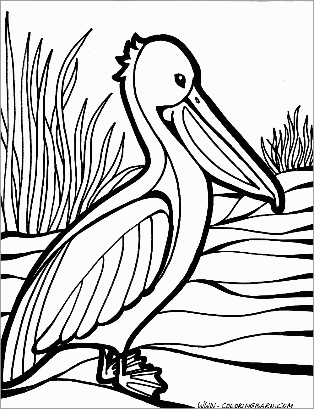 Simple Pelican Coloring Page