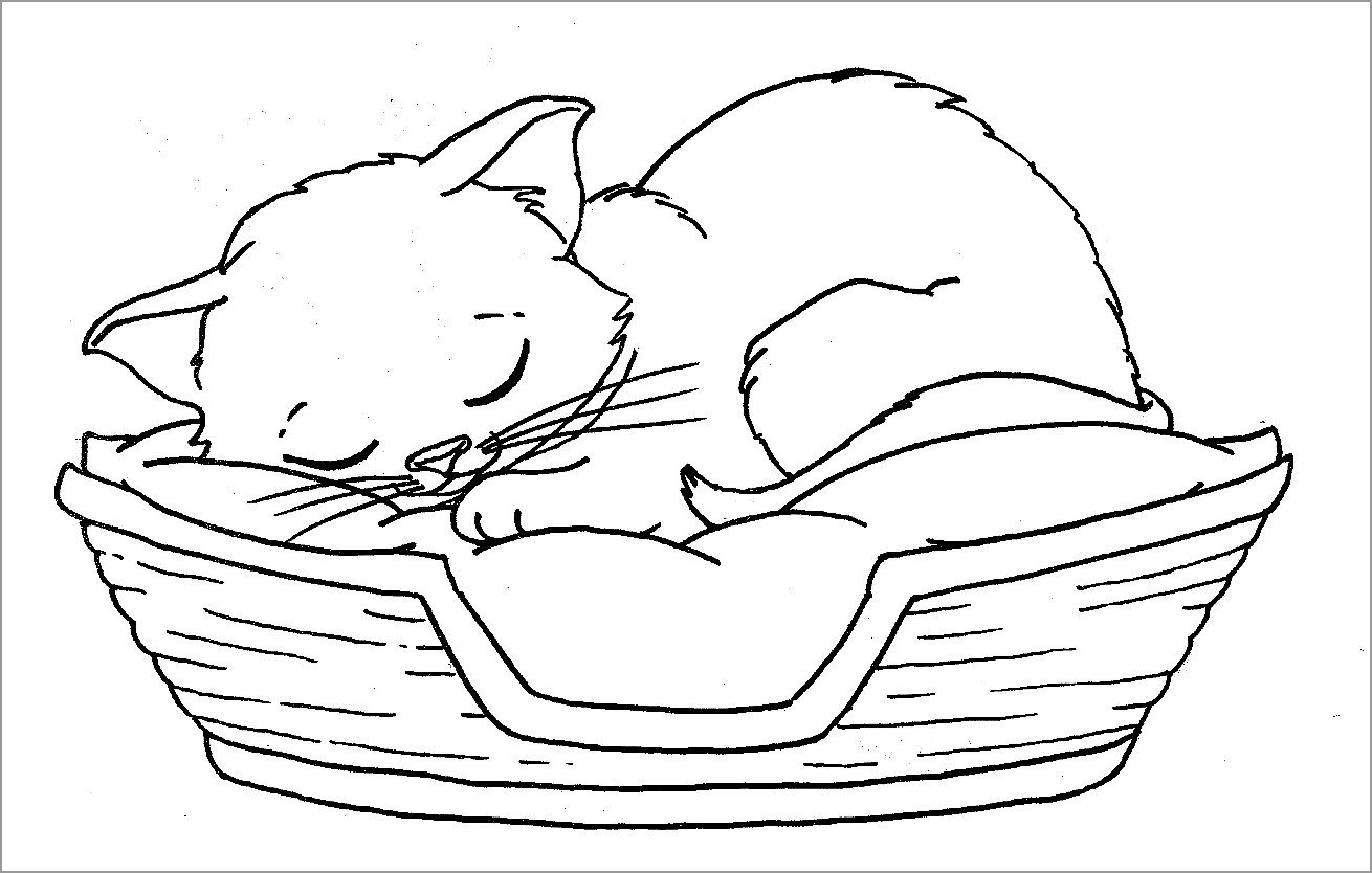 Sleeping Kitten Coloring Pages