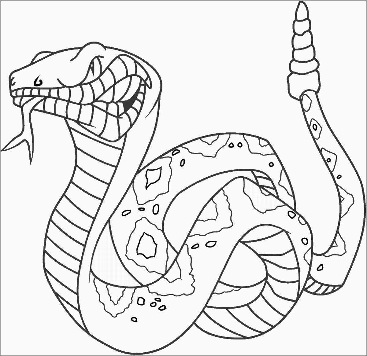 Snake Coloring Page for Adult