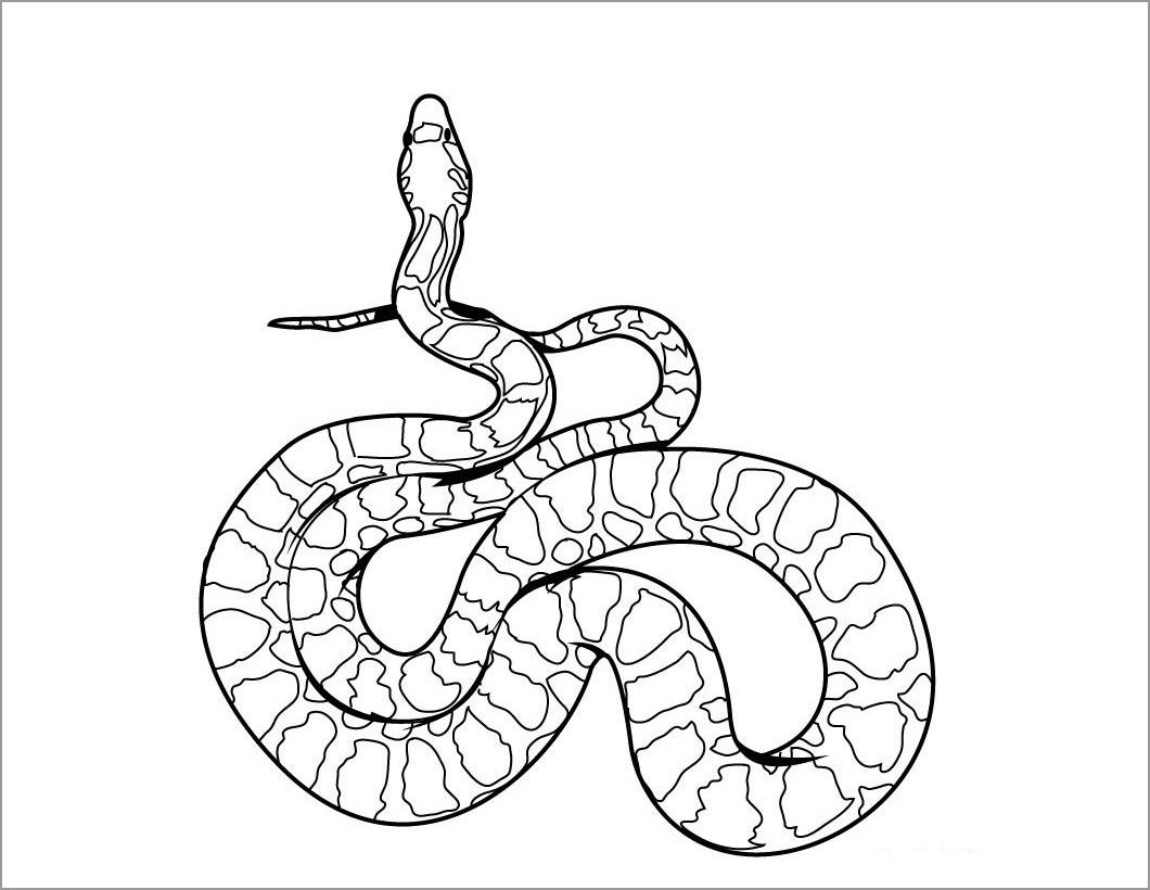 Snake Coloring Pages Realistic - ColoringBay