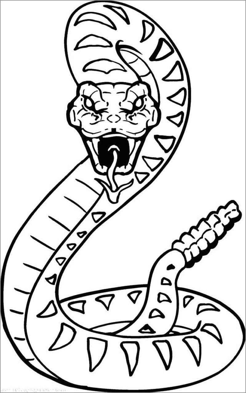 Snake Face Coloring Page