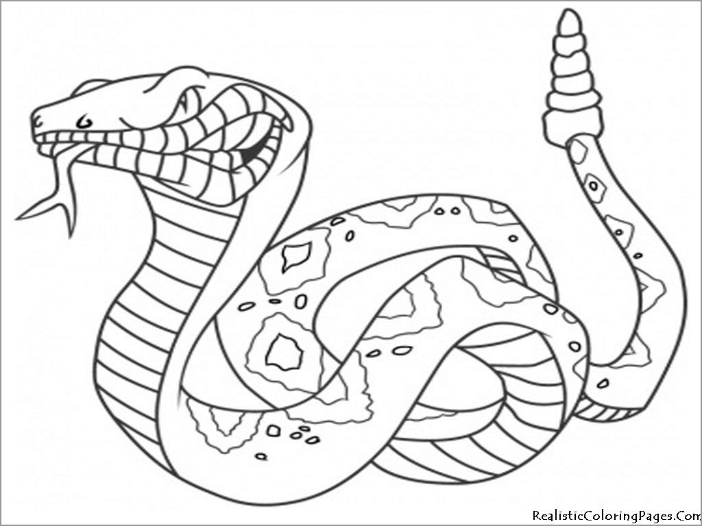 Snakes Dangerous Animals Coloring Page   ColoringBay