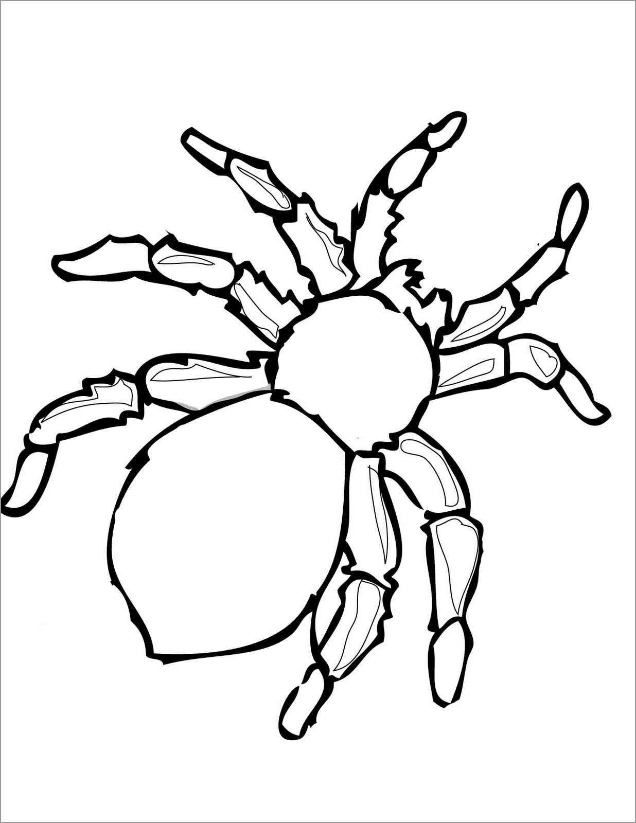 Spider Coloring Pages for Kids