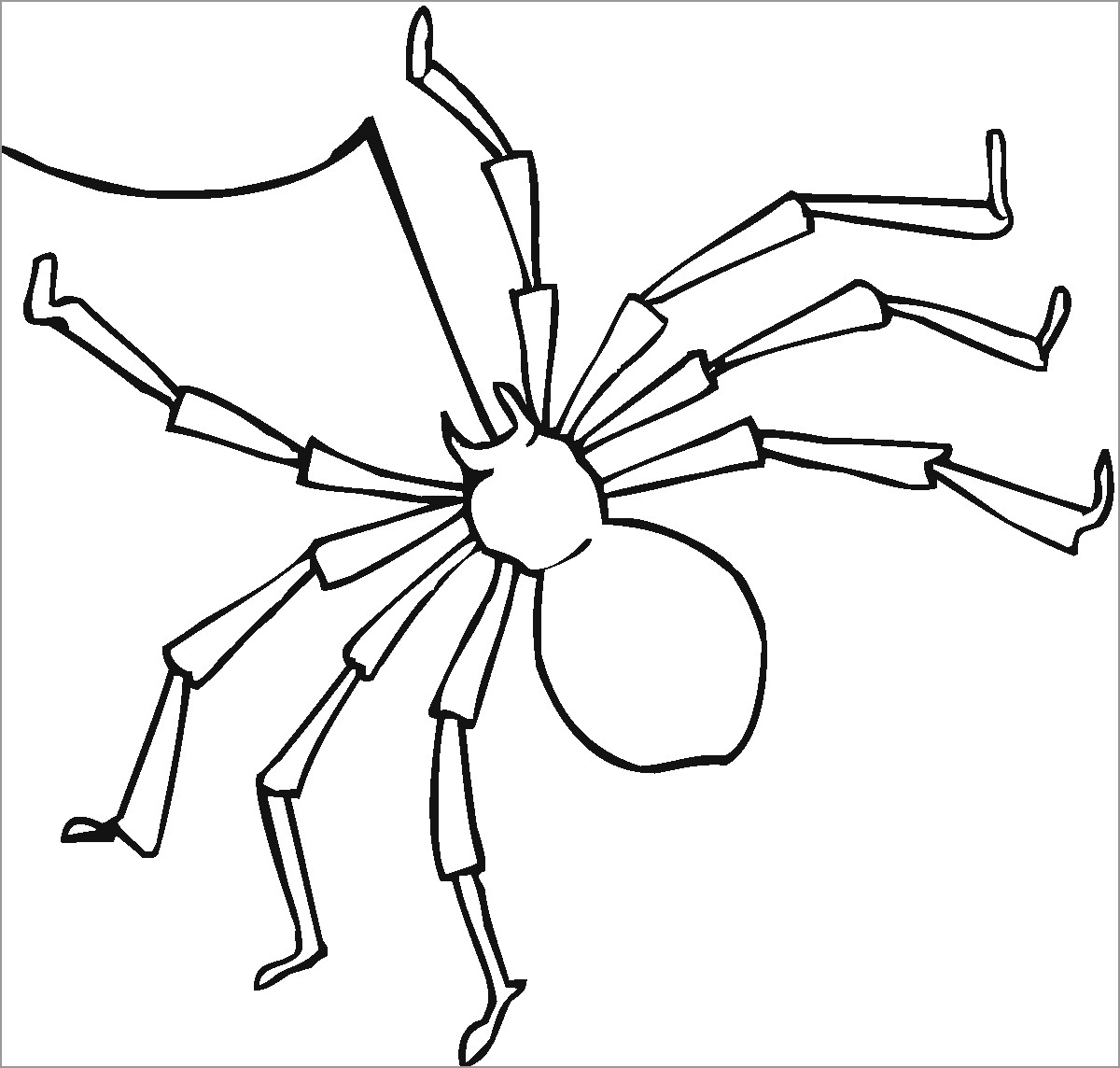 Spider Coloring Pages for Preschoolers