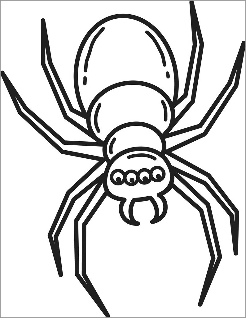 Spider Coloring Pages for toddlers