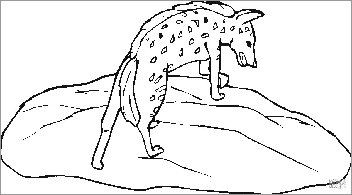 Spotted Hyena Stands Stone Coloring Page