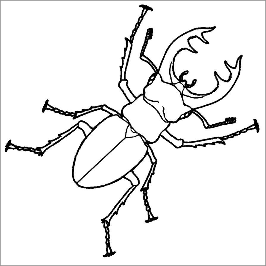 Stag Beetle Coloring Page