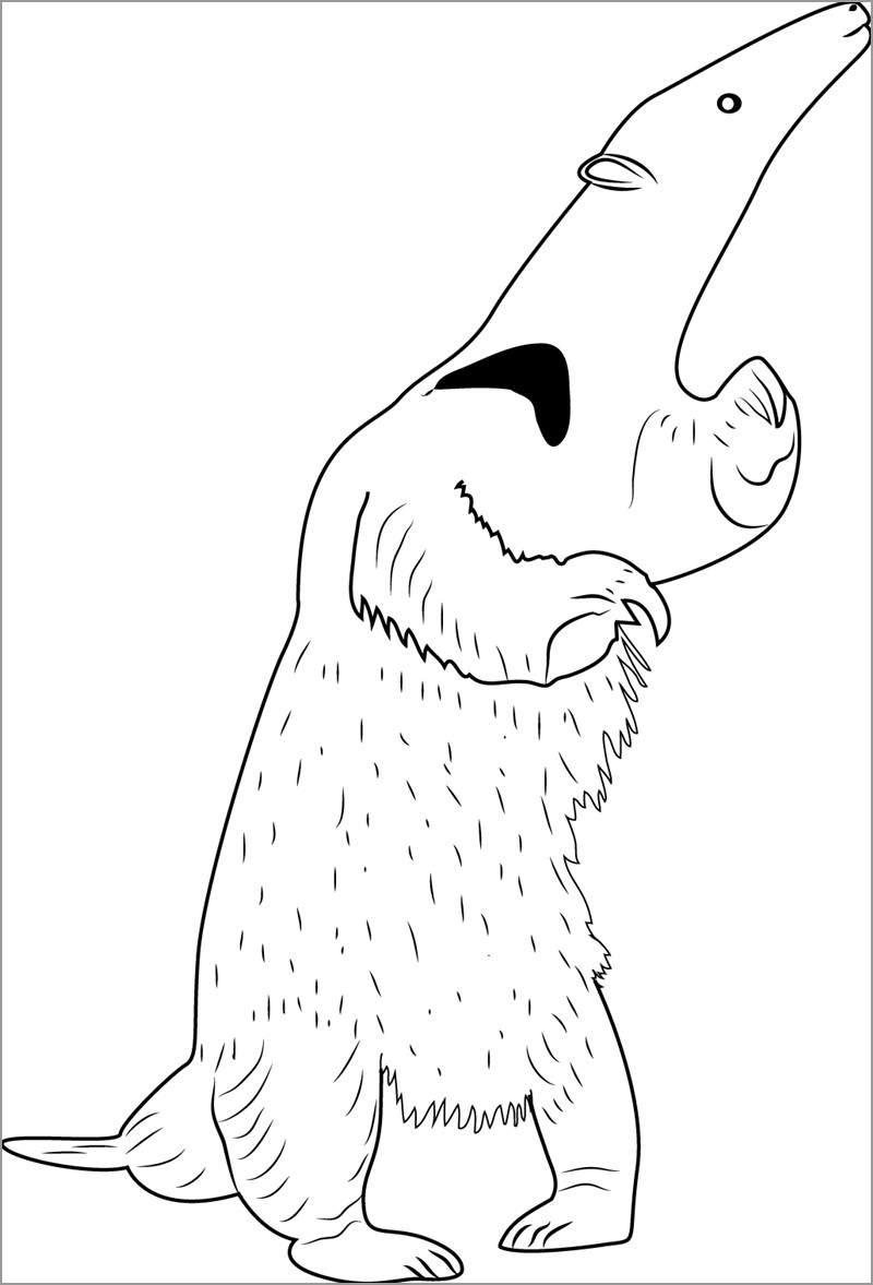 Standing Anteater Coloring Page