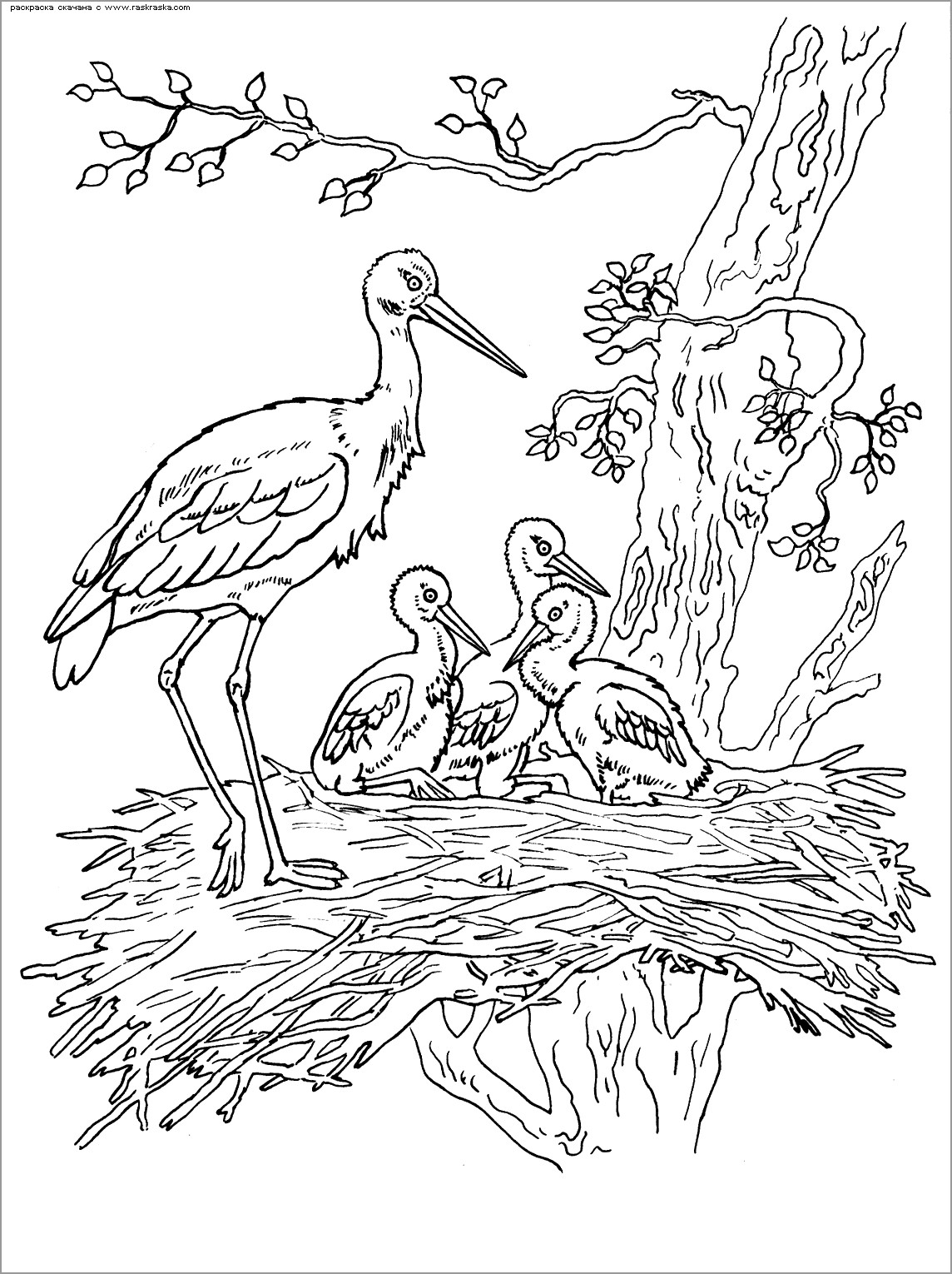 Stork and Baby Coloring Pages