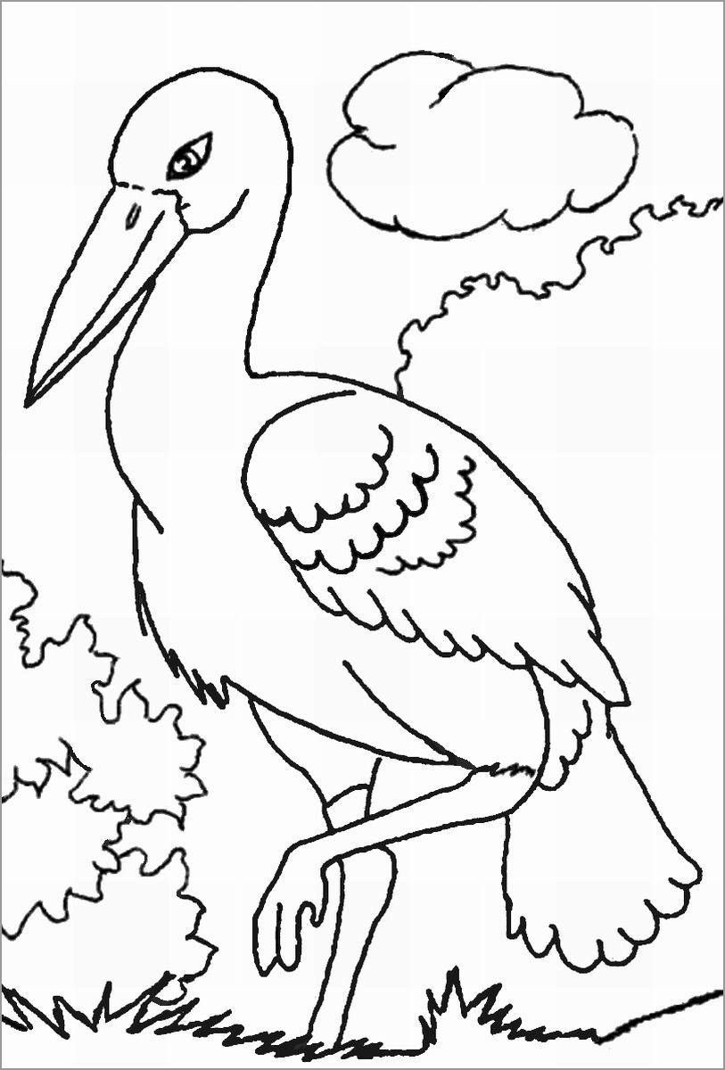 Storks Coloring Page for Preschool
