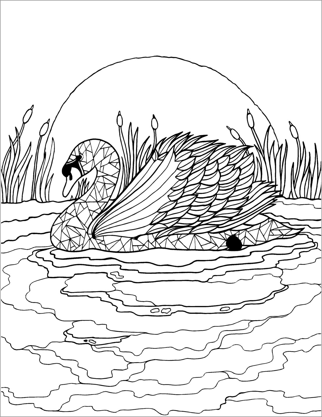 Swan Coloring Page for Adult
