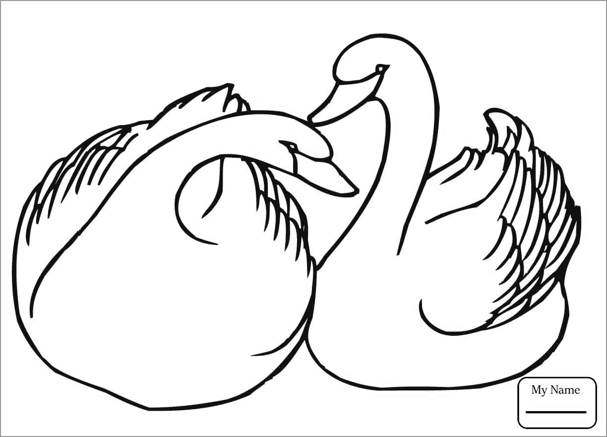 Swan Coloring Page for Kids