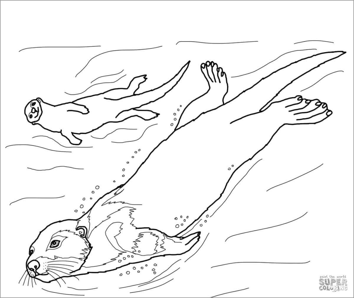 Swimming Otter Coloring Page