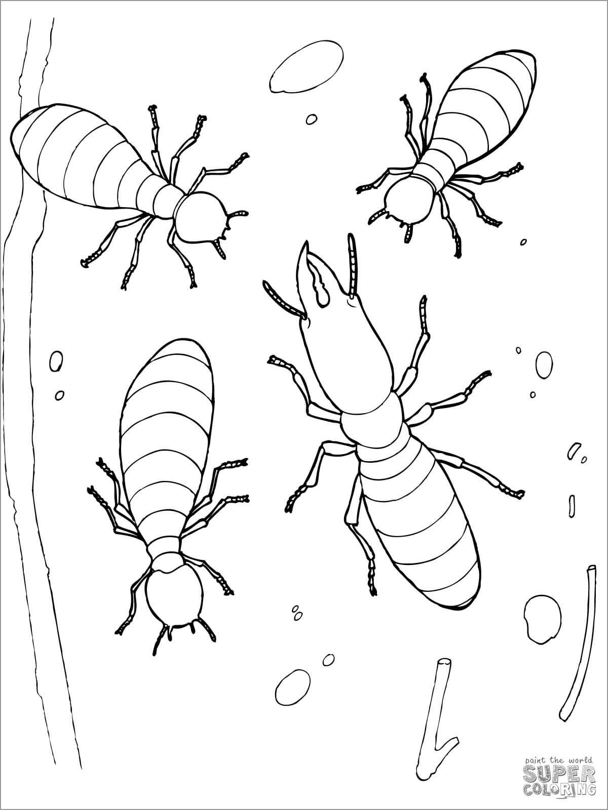 Termites Coloring Page for Preschool