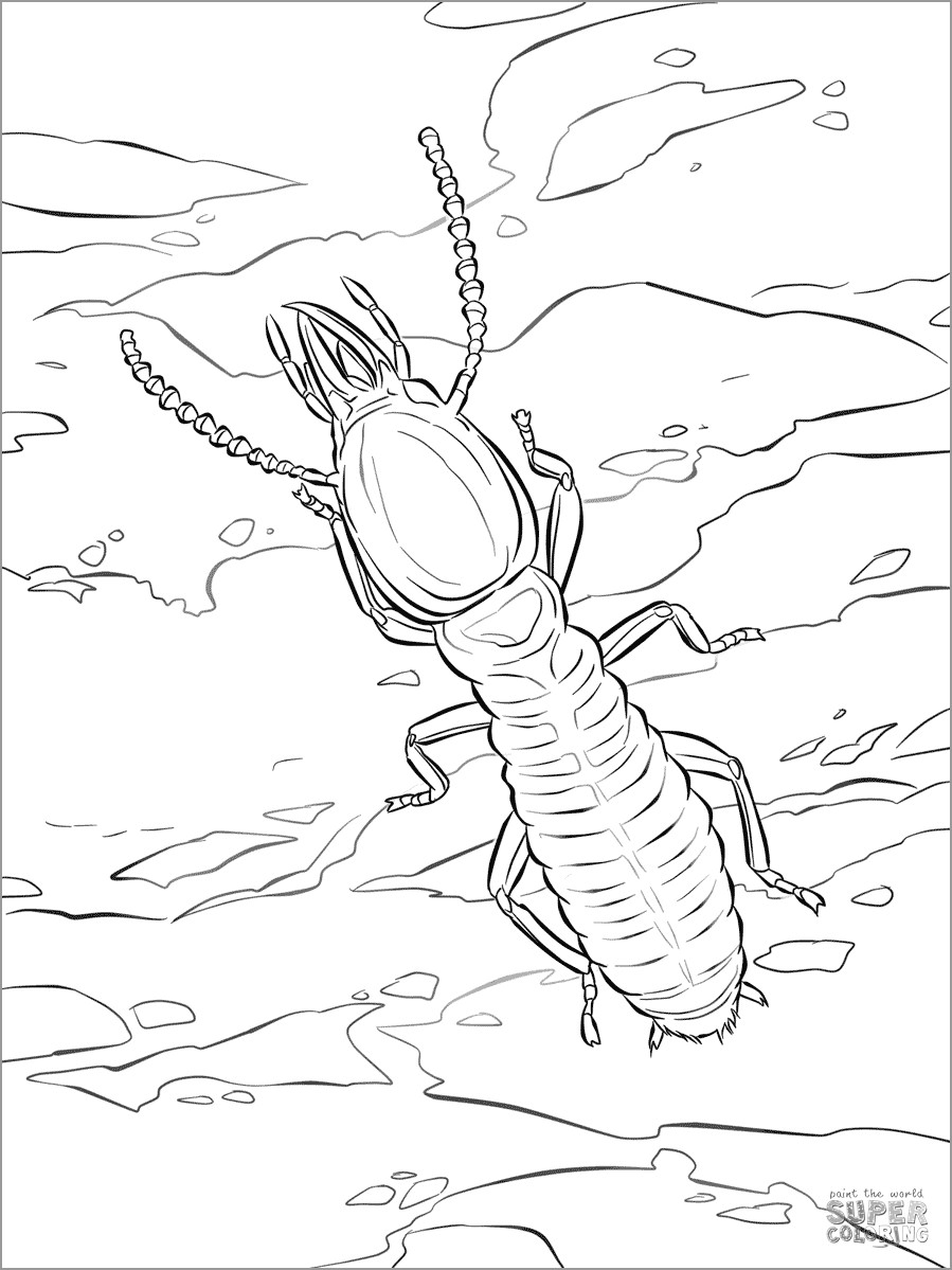 Termites Coloring Page to Print
