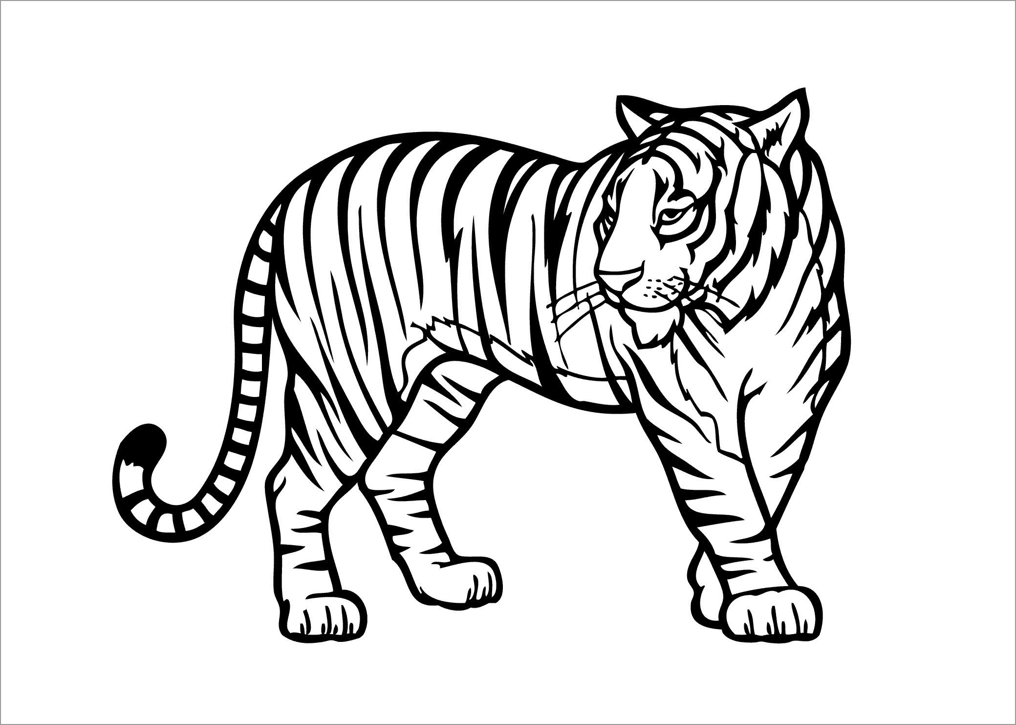 Tiger Coloring Pages ColoringBay