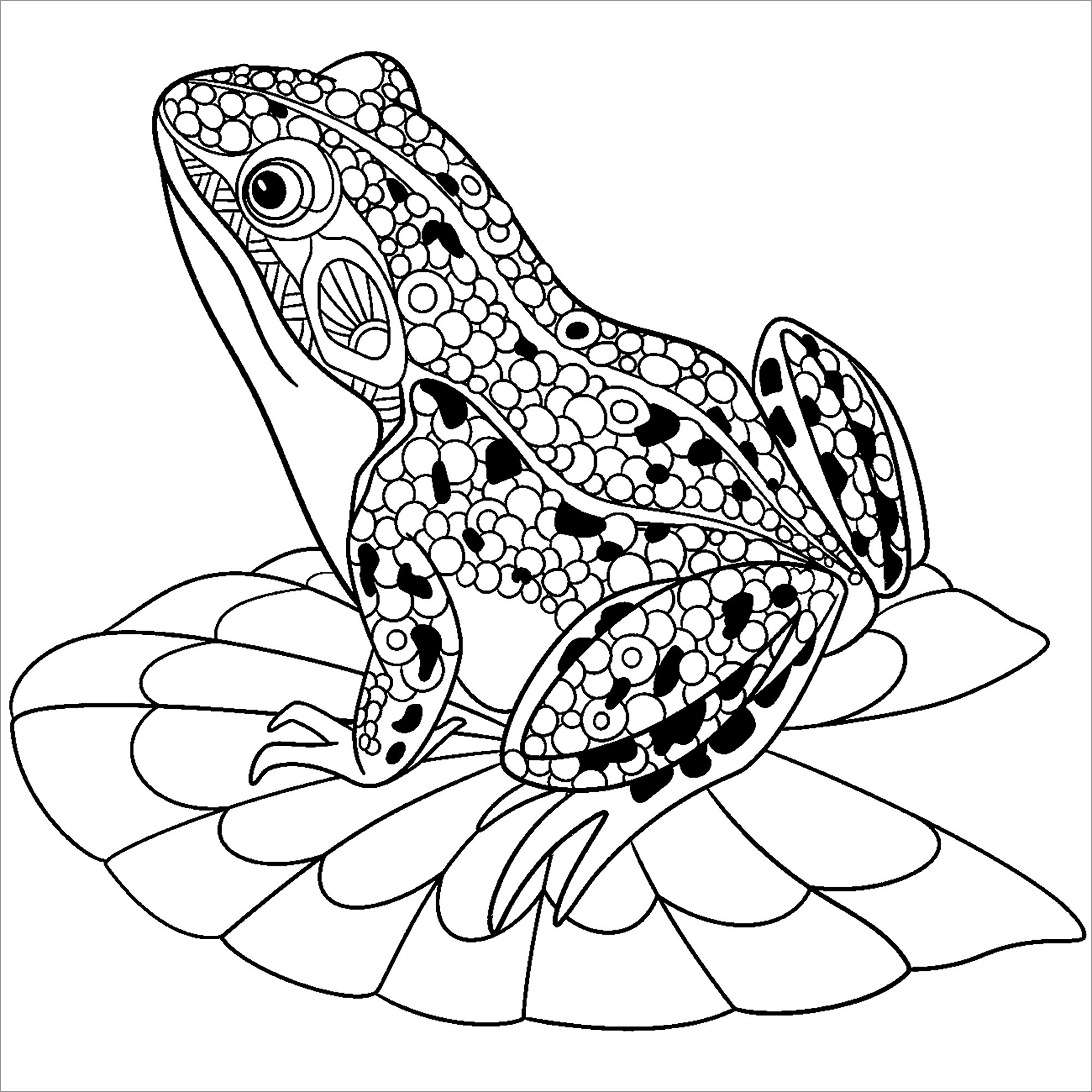 Toads Coloring Pages