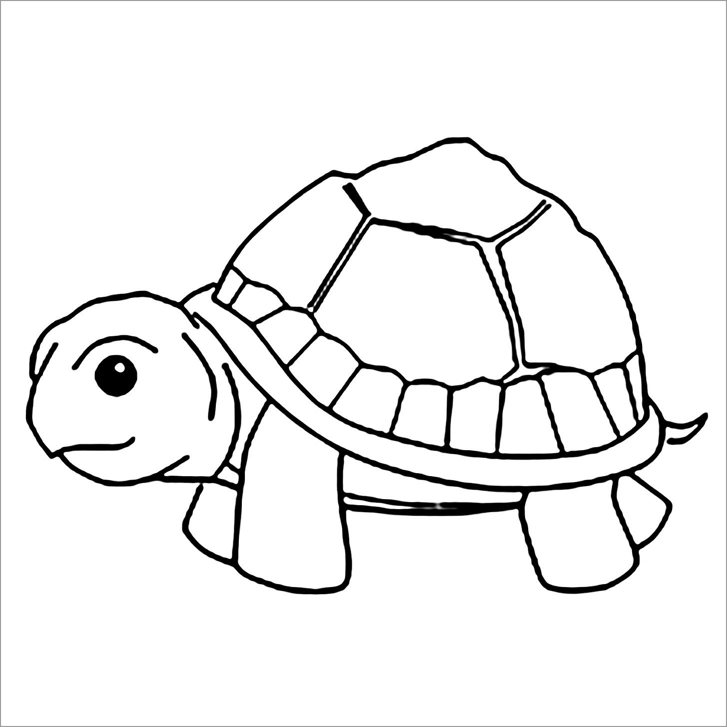 Tortoise Coloring Page for Kids   ColoringBay