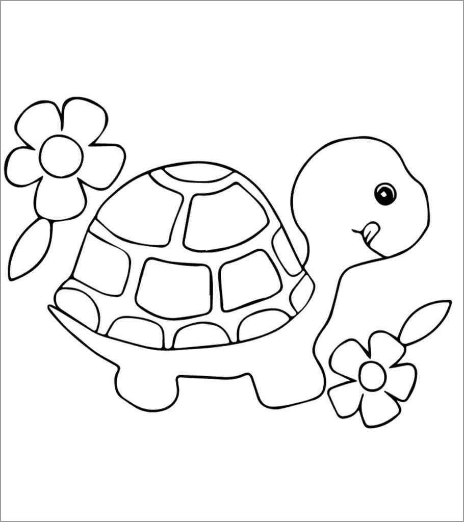 Tortoise Coloring Page for Preschool