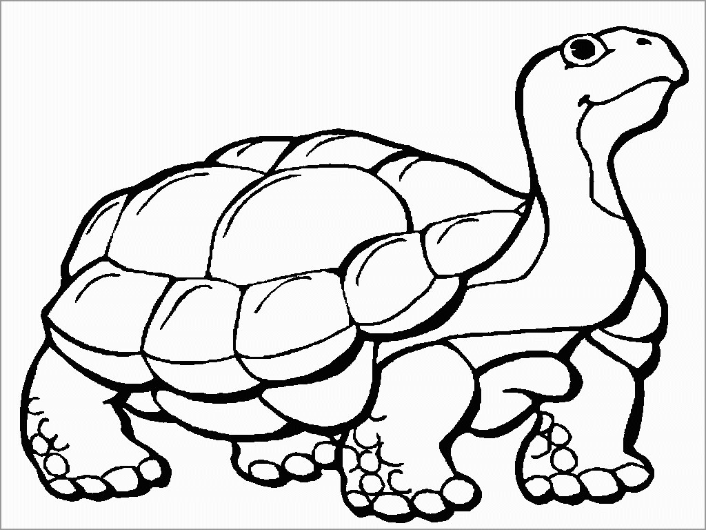 Tortoise Coloring Page to Print