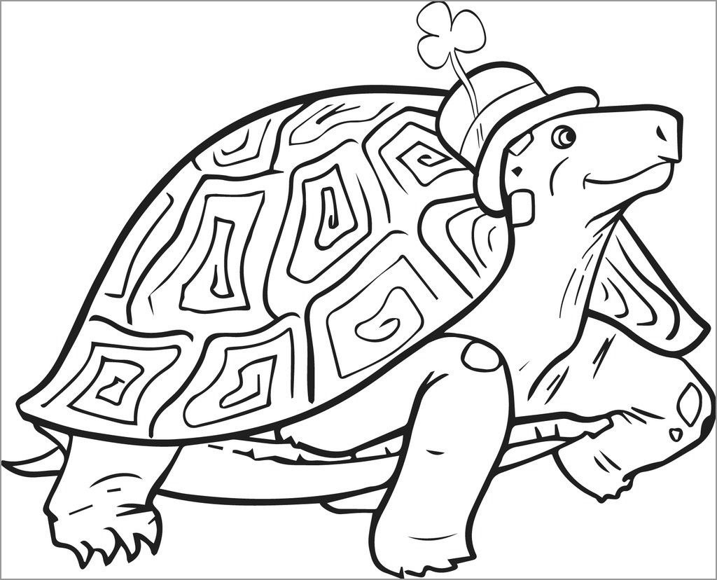 Tortoise Printable Coloring Pages