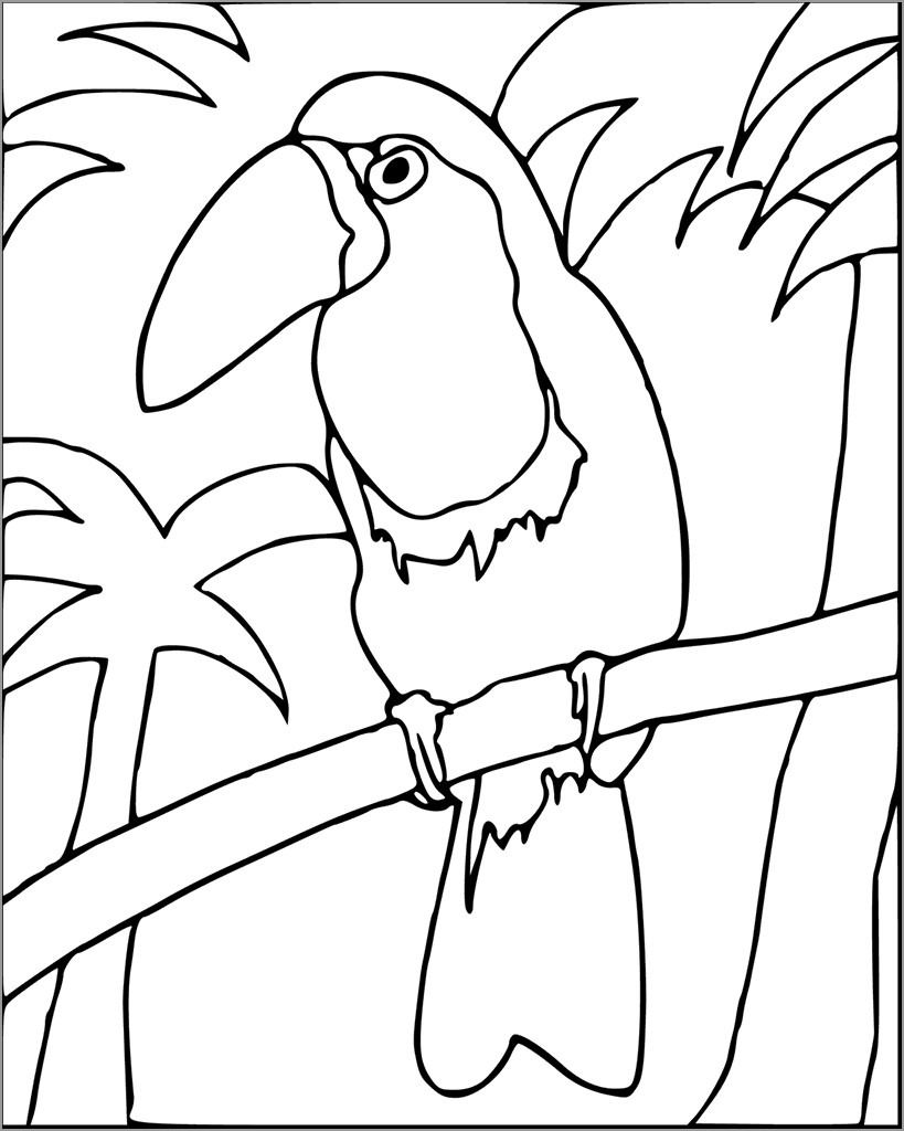 Toucan Bird Coloring Pages
