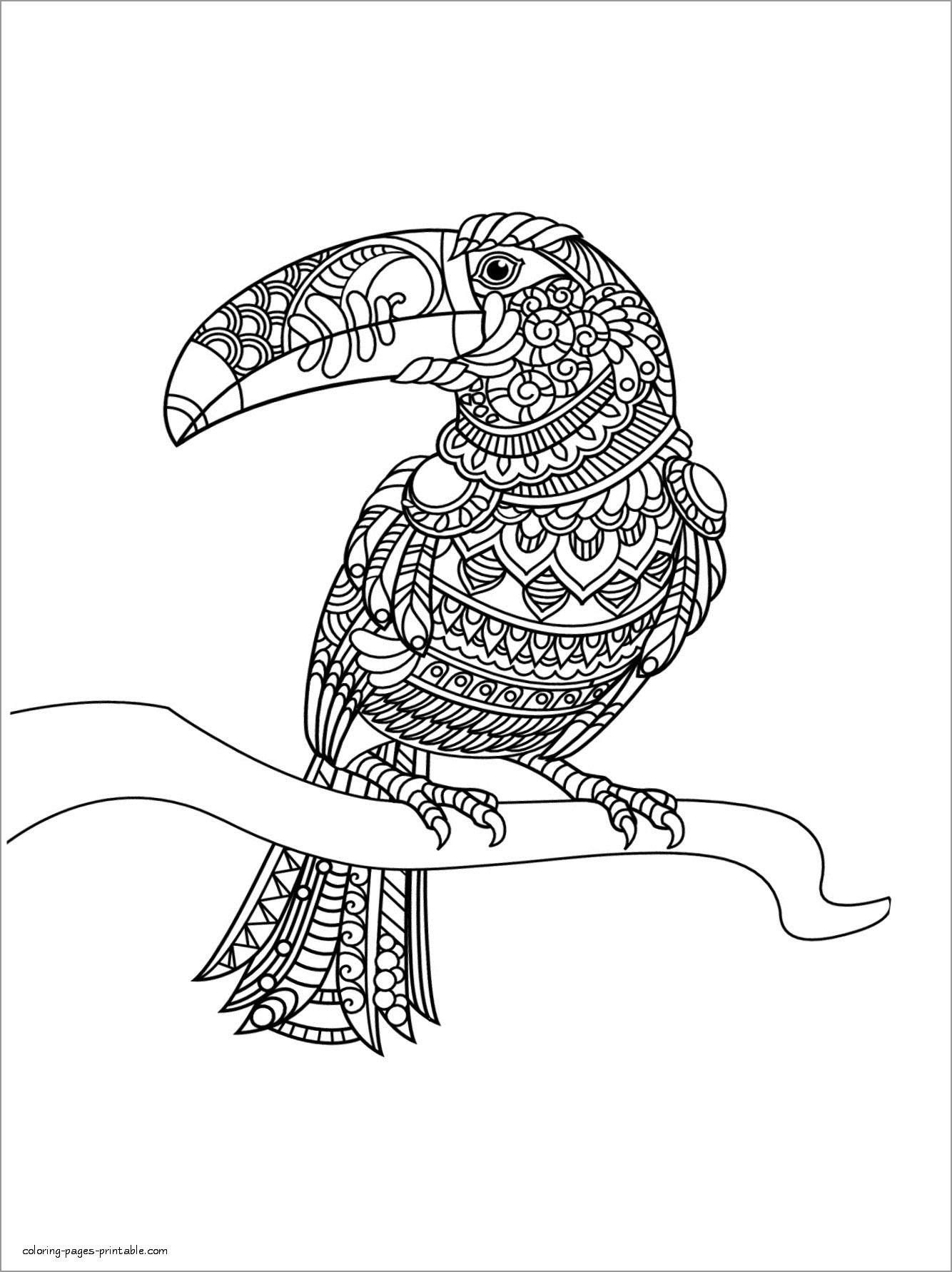 Toucan Coloring Page for Adults