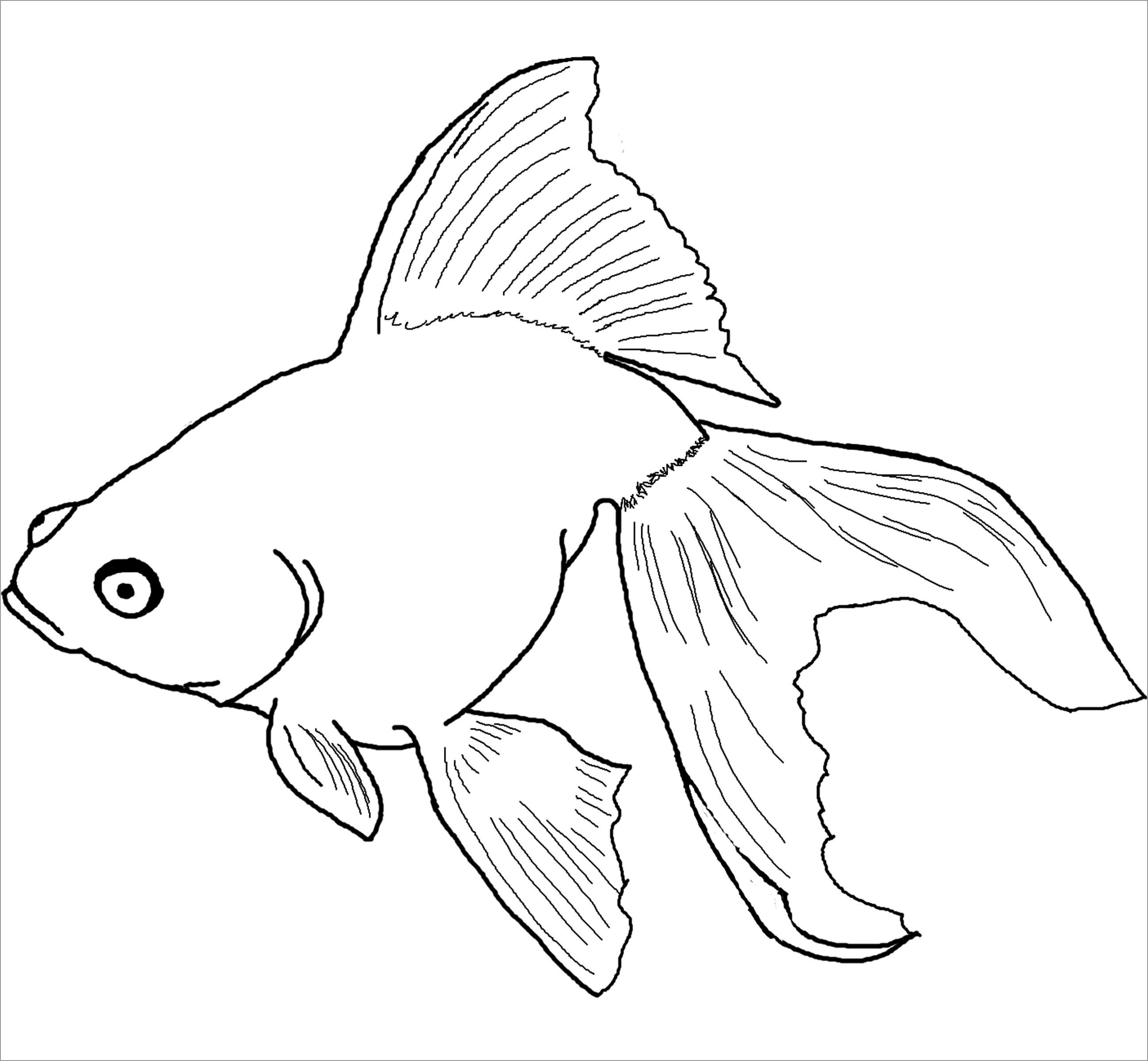 Tremendous Betta Fish Coloring Page