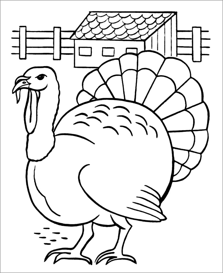 Turkey Coloring Page to Print