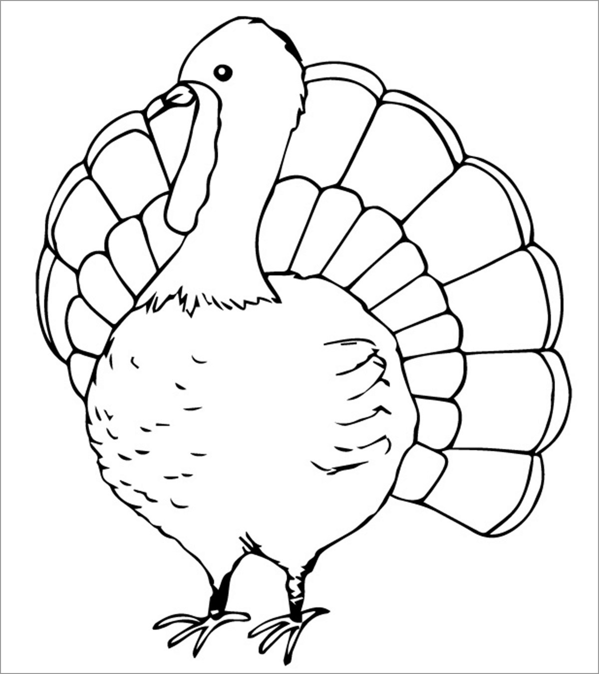 Turkey Coloring Pictures Printable