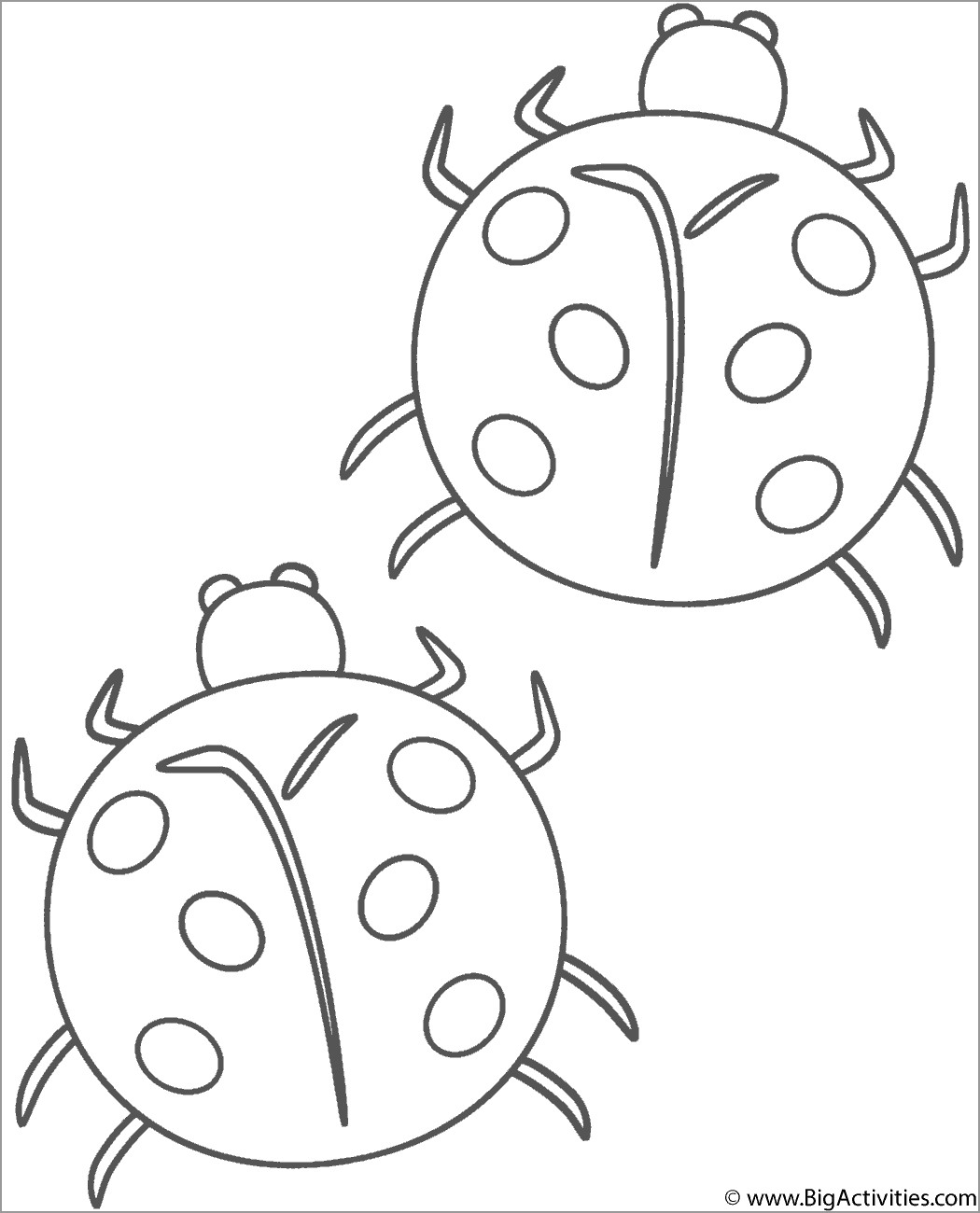Two Ladybugs Coloring Page