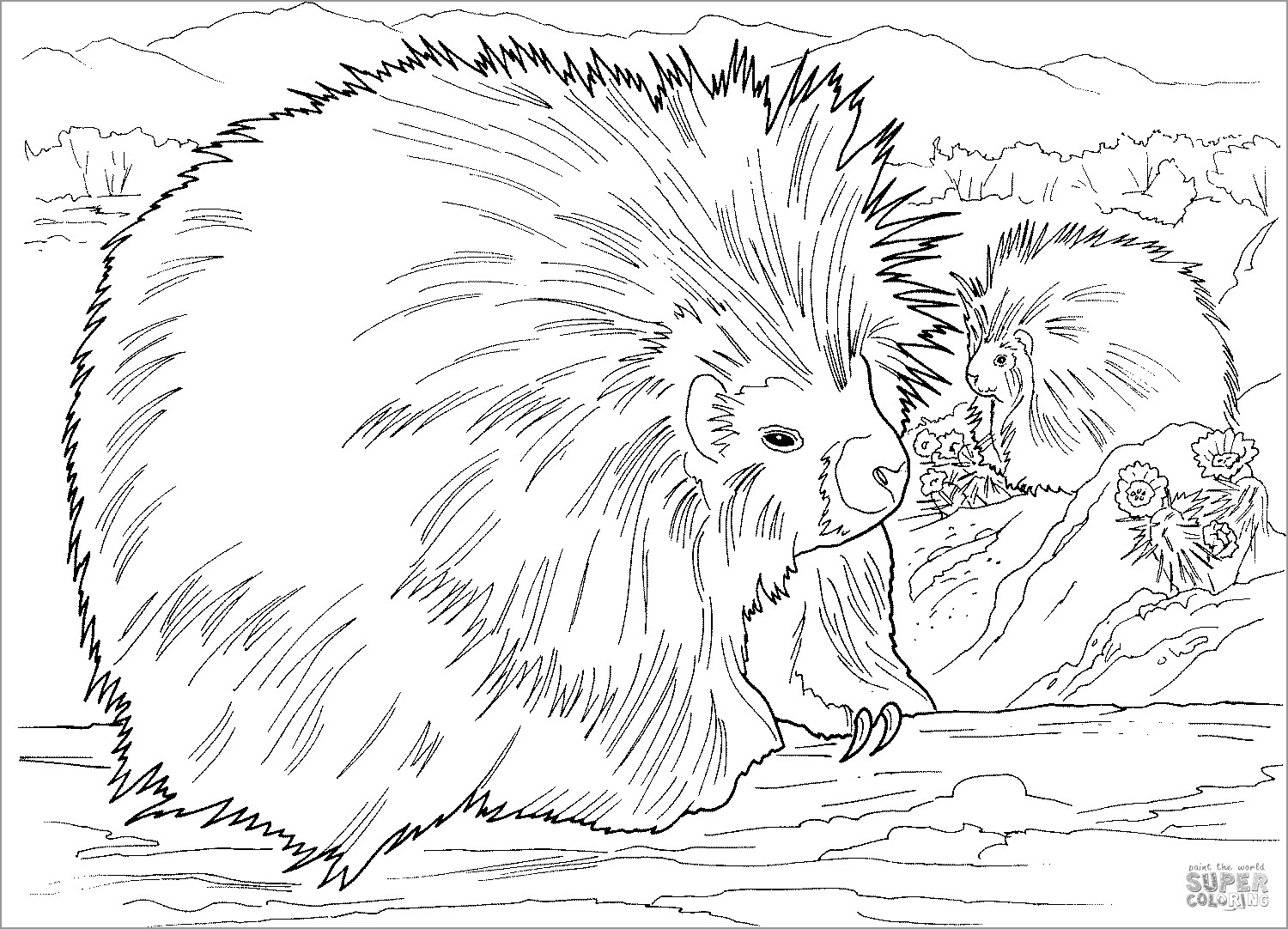 Two Porcupines Coloring Page