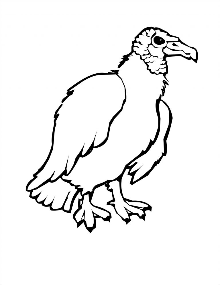 Vulture Coloring Page for Kids - ColoringBay