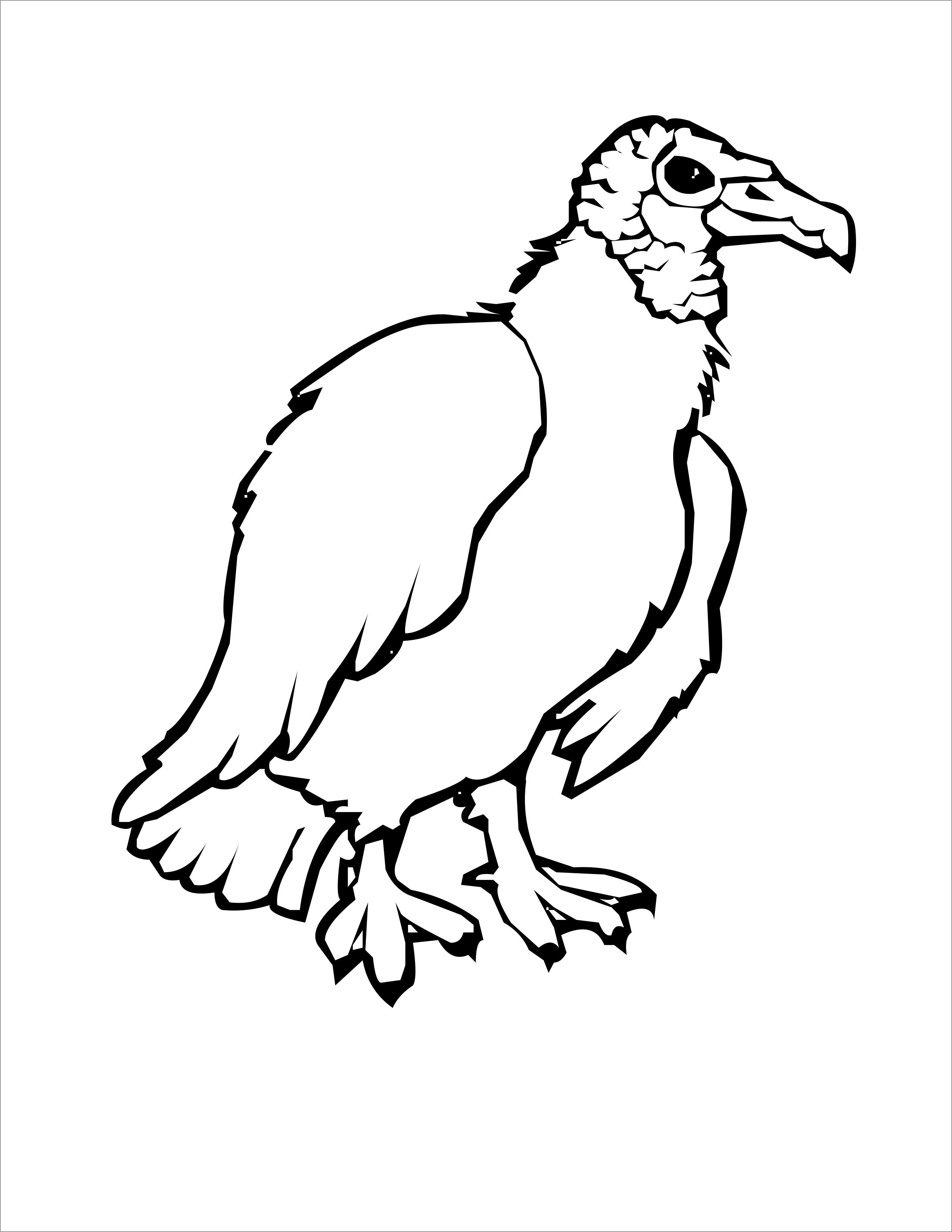 Vulture Coloring Page for Kids