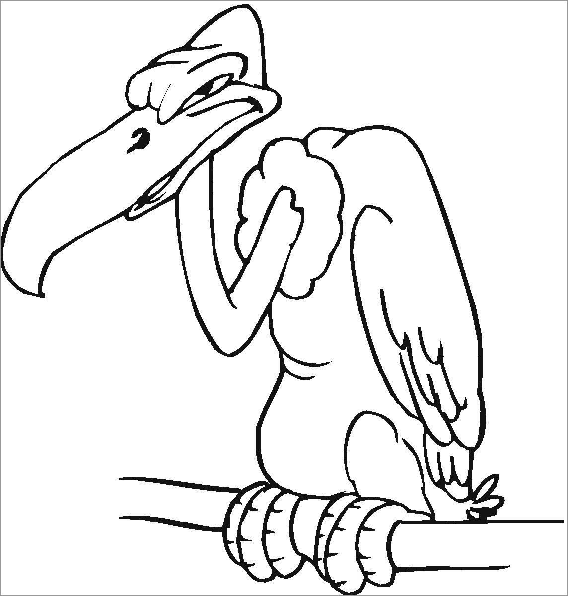 Vulture Coloring Page Free Download