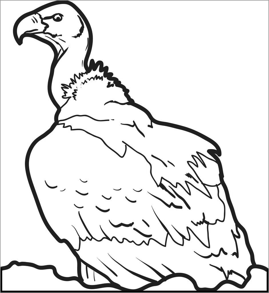 Vulture Printable Coloring Pages