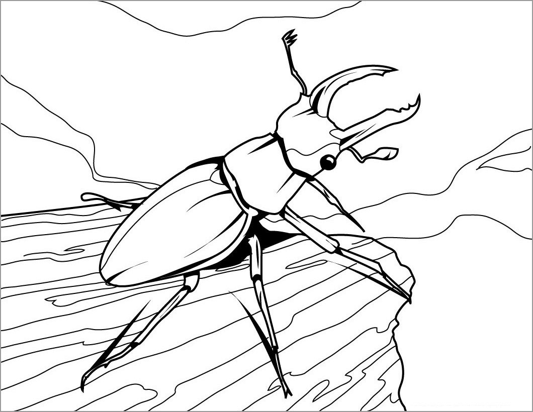 Vw Beetlering Insects Coloring Page
