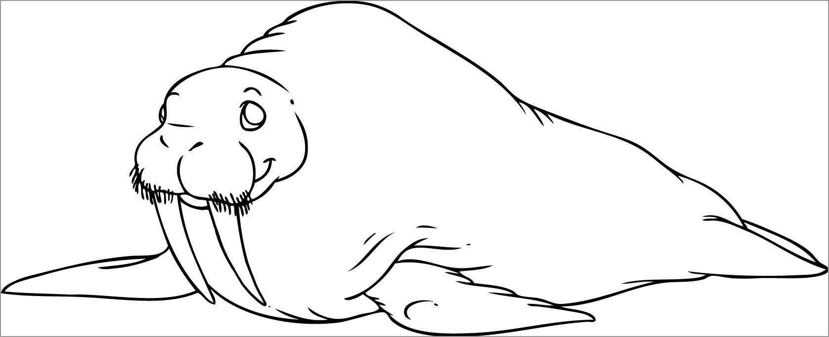 Walrus Coloring Page Preschool
