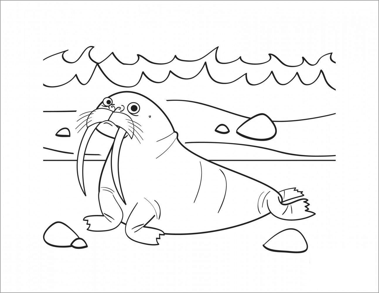 Walrus Printable Coloring Pages