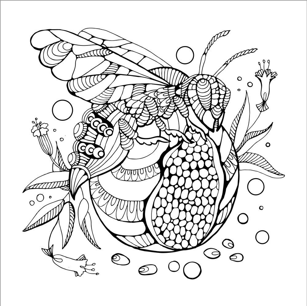Wasp Coloring Page for Adult