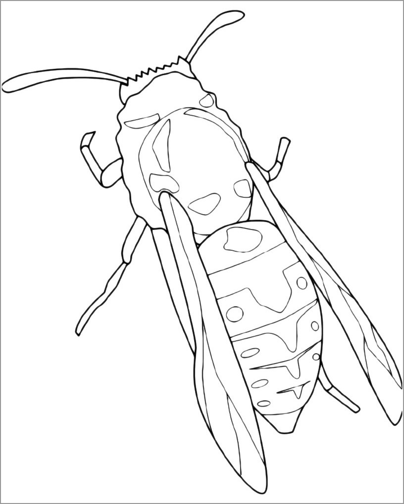 Wasp Coloring Page for Kids