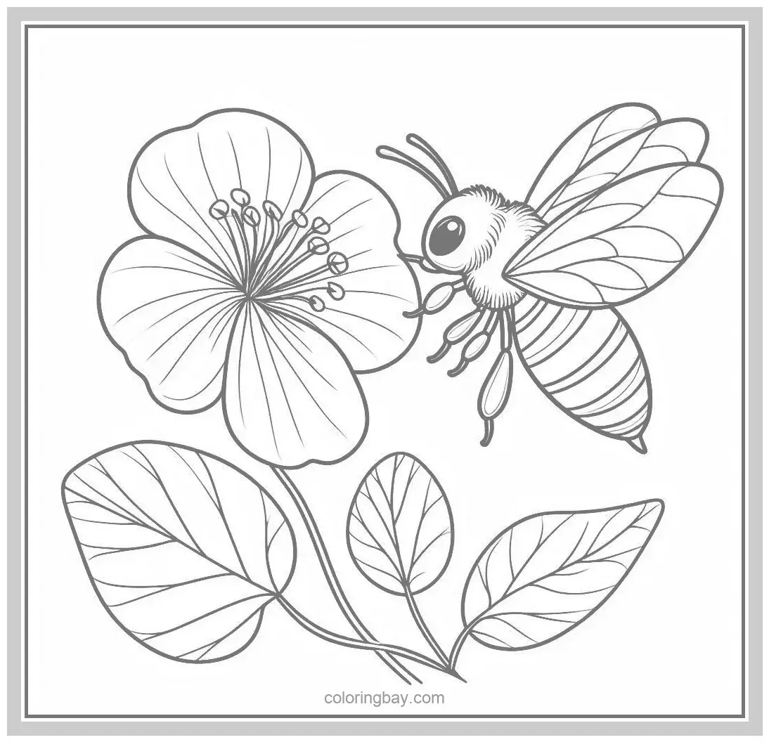 wasp coloring picture