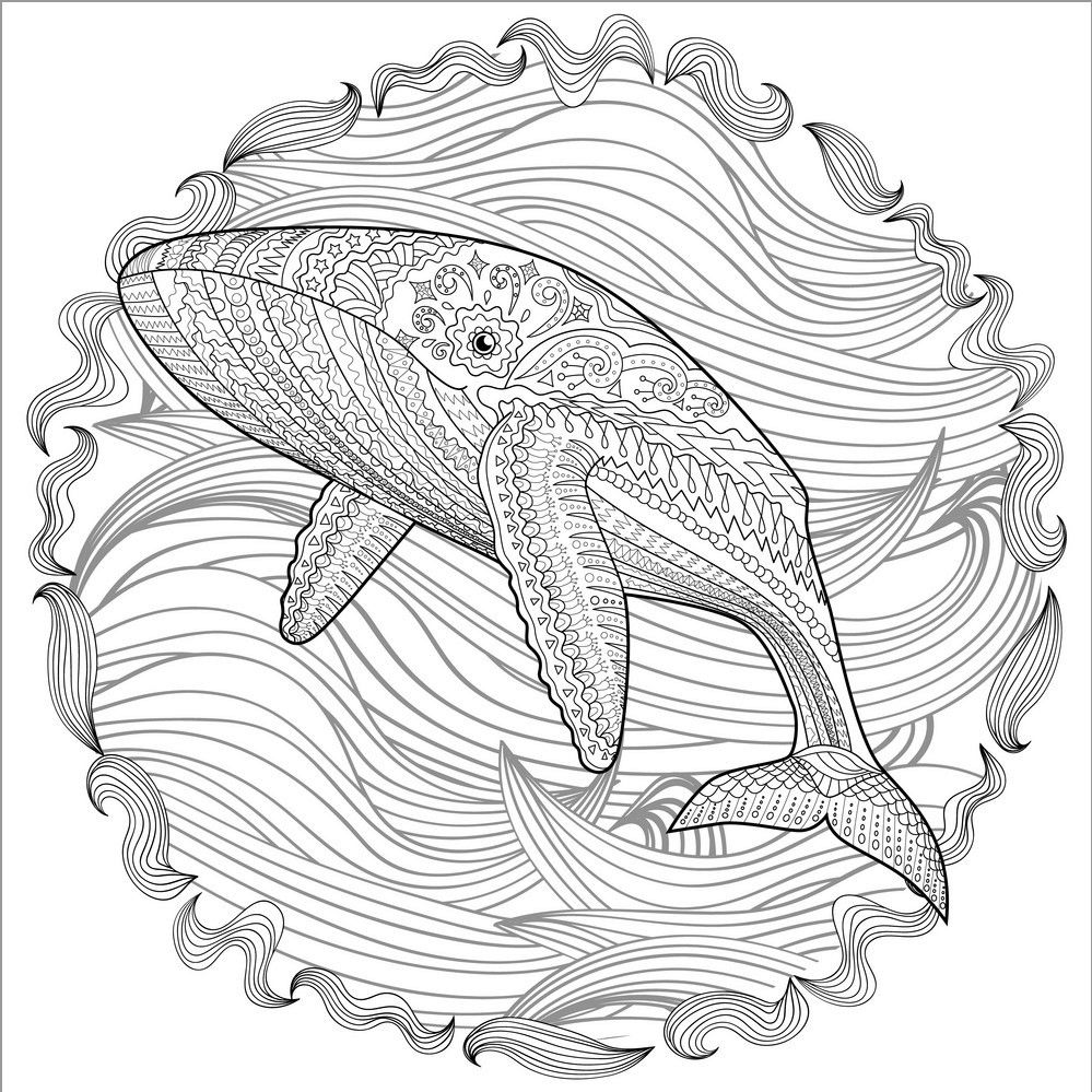 Whale Coloring Page for Adult