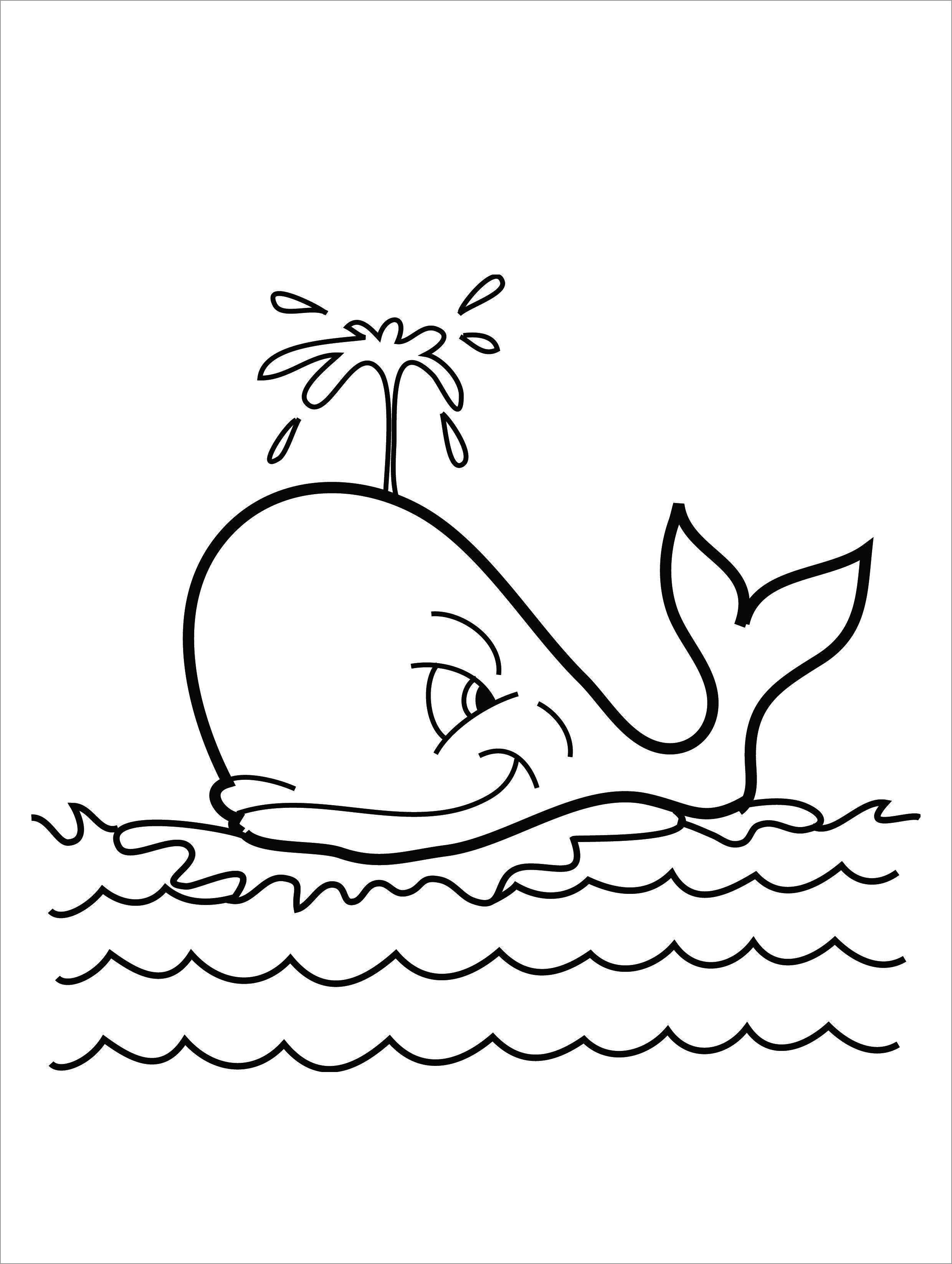 Whale Coloring Page for Kids