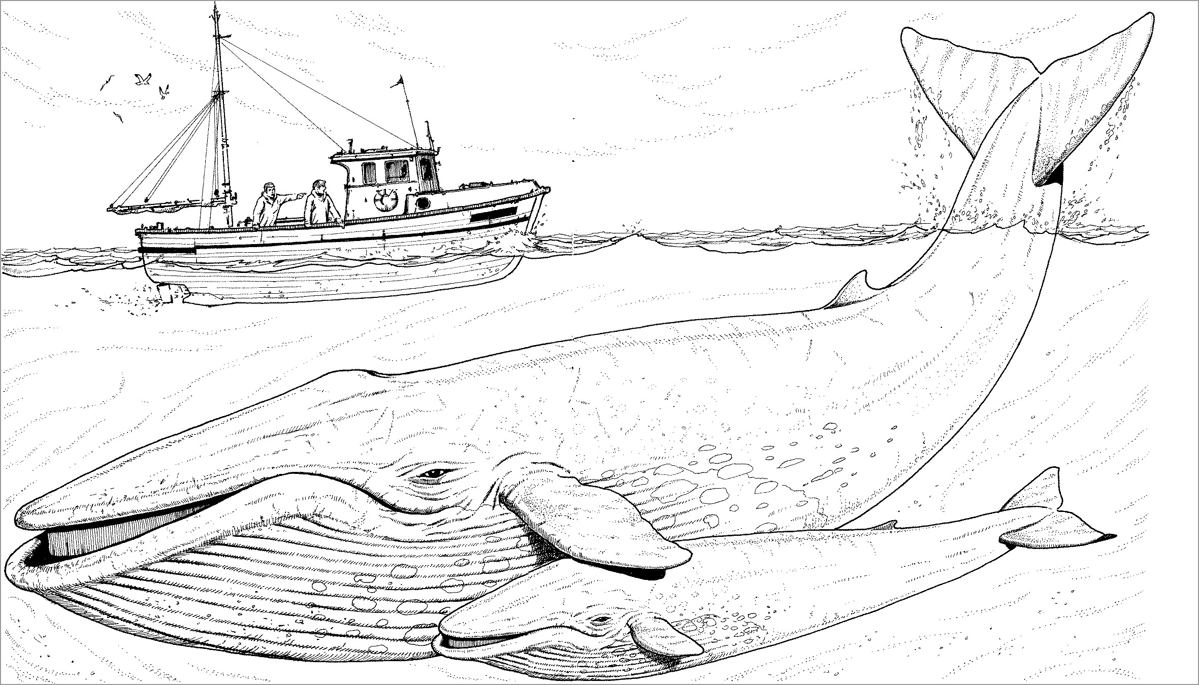 Whale Moms and Baby Under A Ship Coloring Page