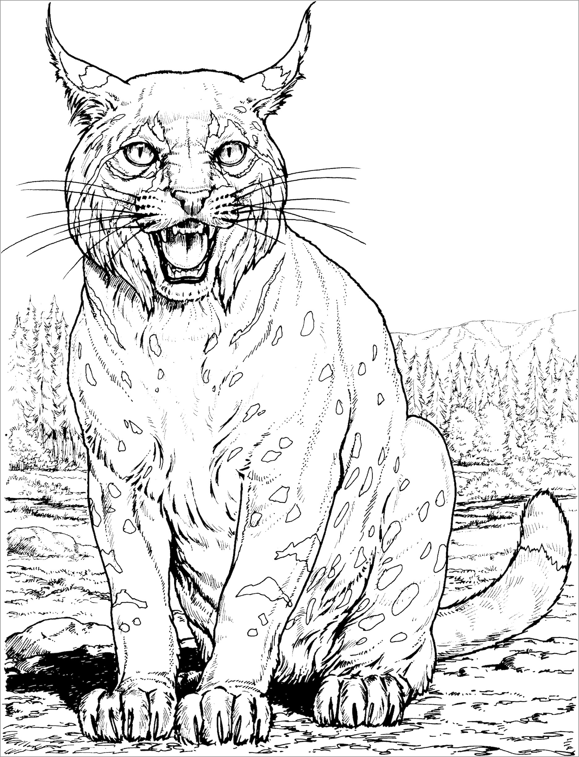 Wild Cats Coloring Page to Print Wild Cats Coloring Page to Print